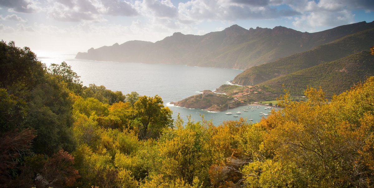 Overlooking Corsica and the Mediterranean Sea through amongst the aromic scrubland of Corsica