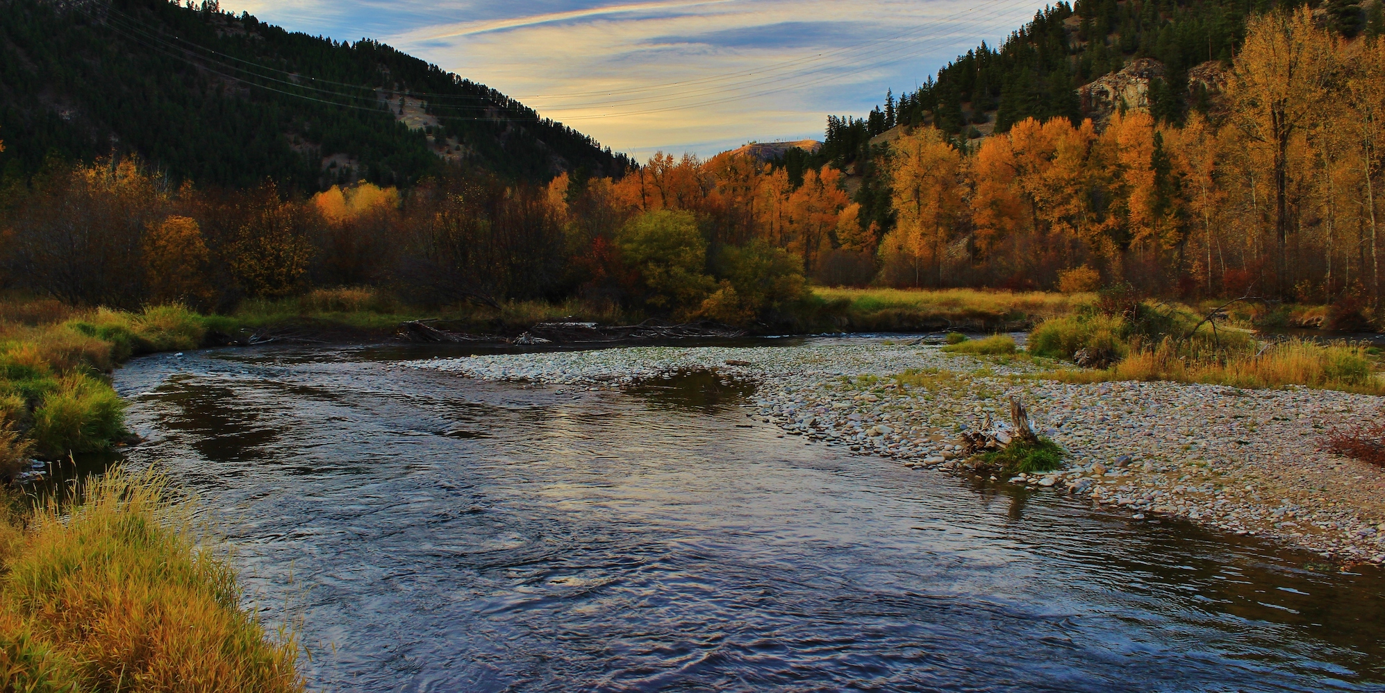 Clark Fork river in Missoula Montana on a fall day with the trees on the riverbank in prime fall colors