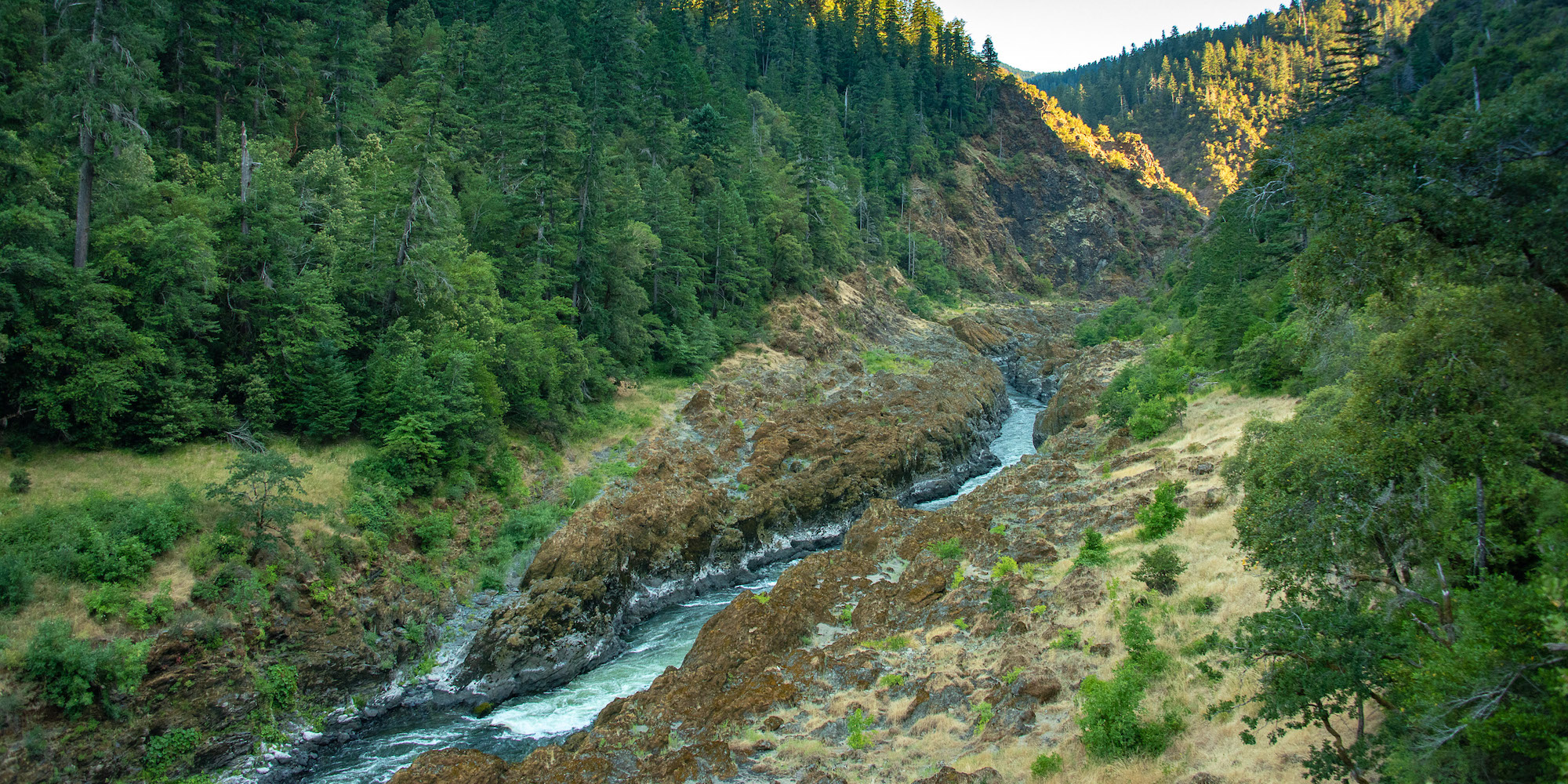 Aerial shot of the Rogue River flowing through the green Rogue River Wilderness