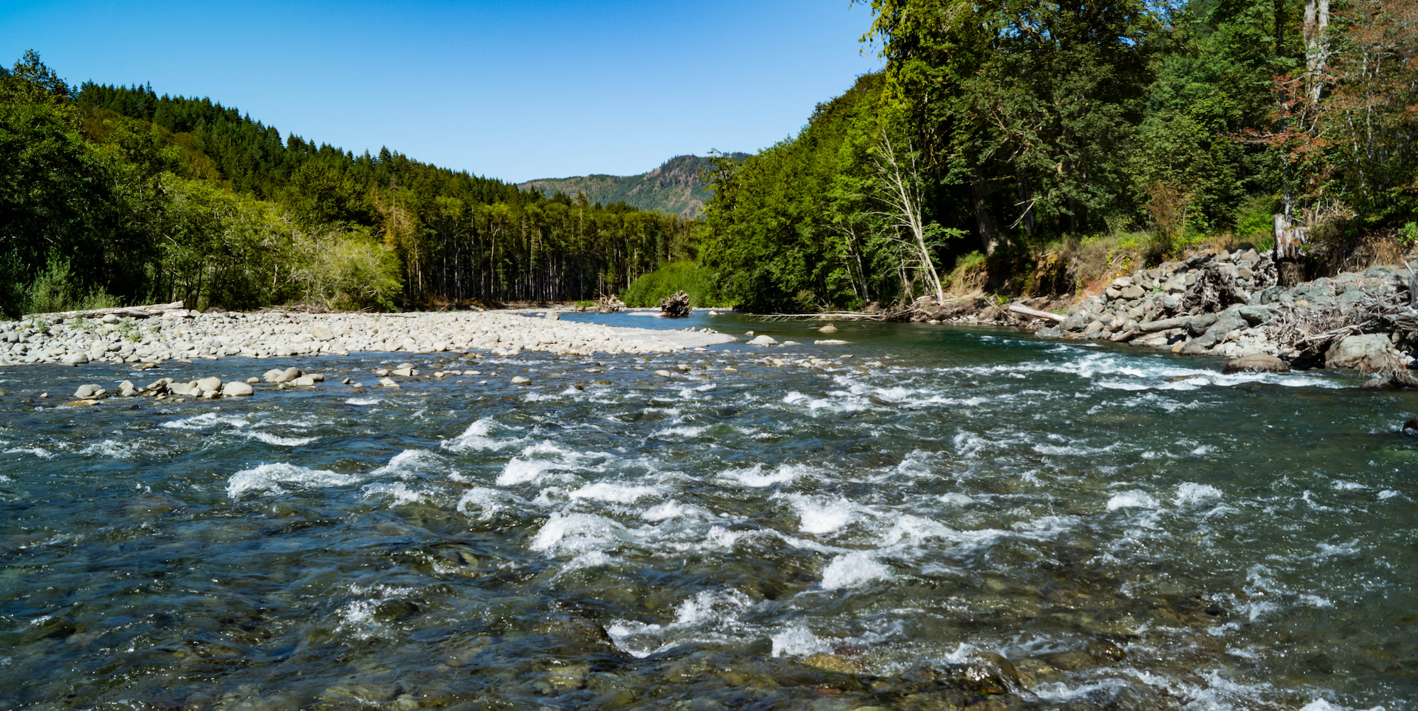 Free flowing Elwha River through Olympic National Park