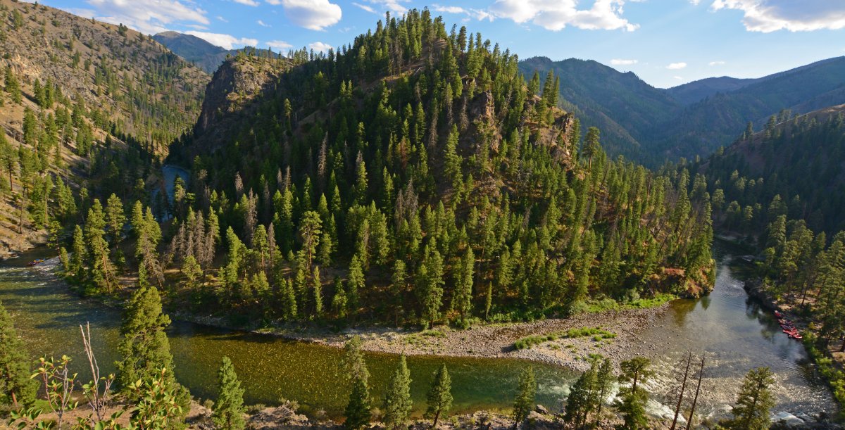 A river bend around a hill of trees overlooking the Frank Church Wilderness on the Middle Fork of the Salmon River in Idaho