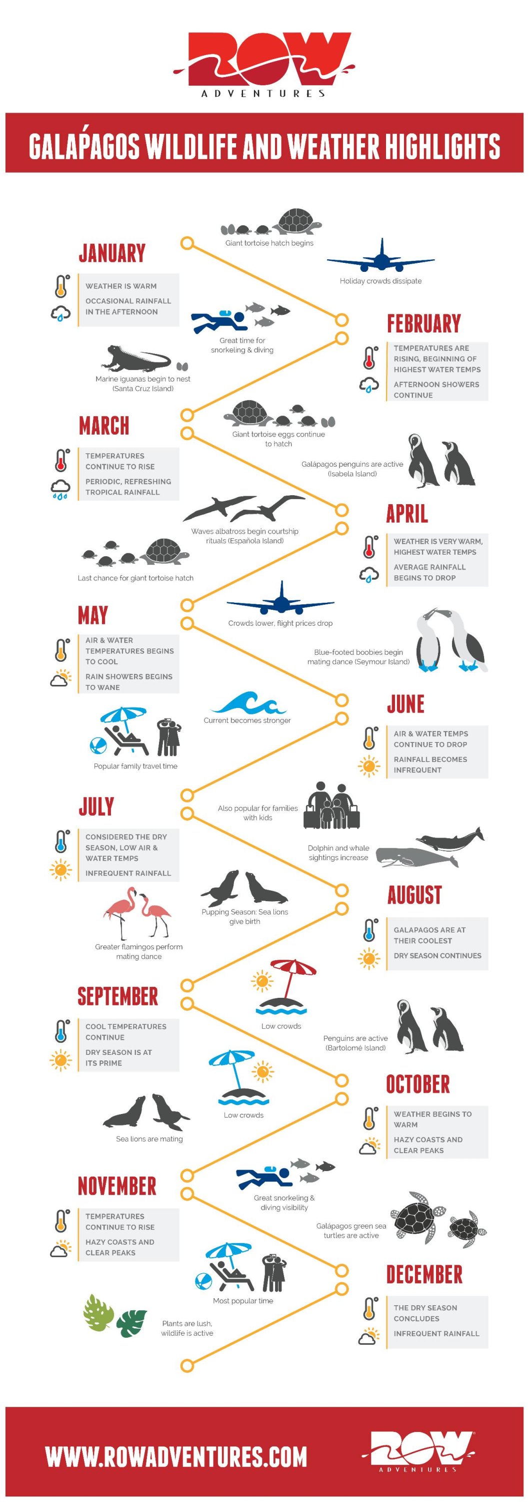 Wildlife and weather highlights infographic in the Galapagos Islands