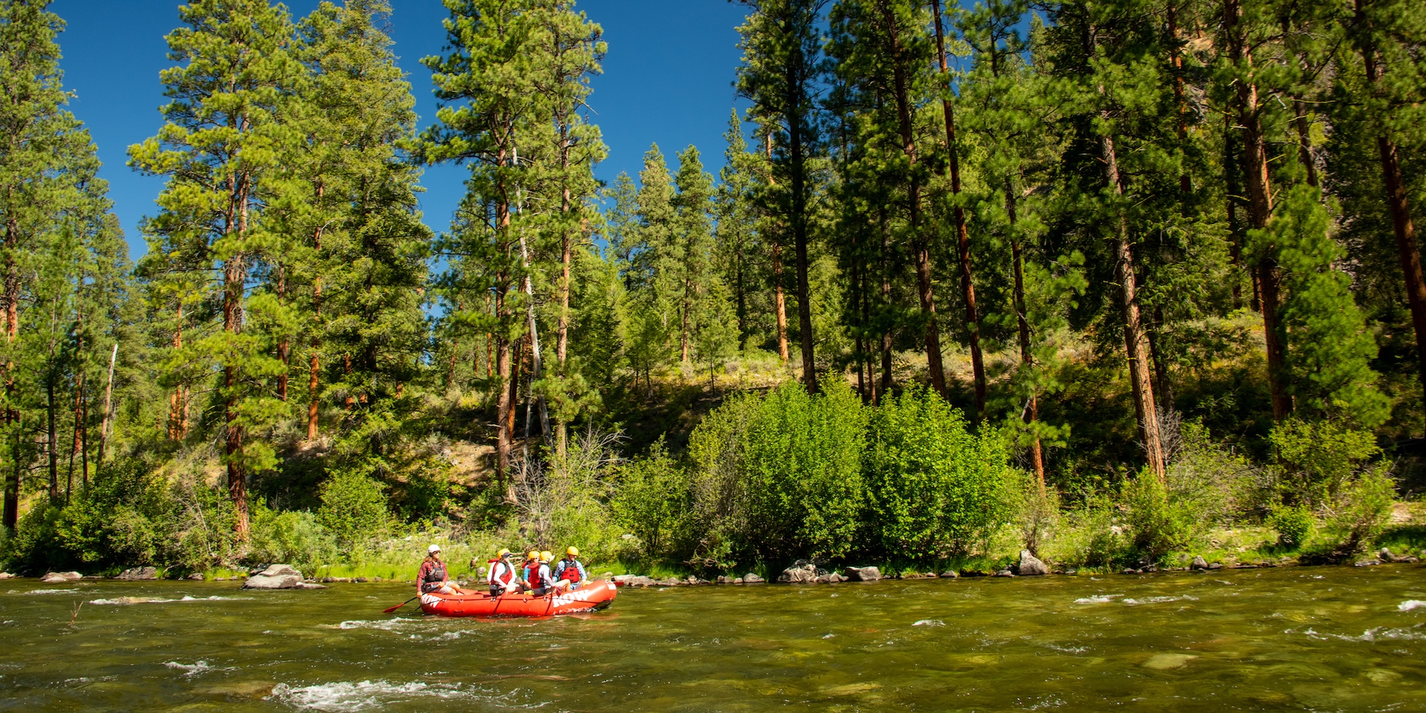 Raft floating through a calm forested section of the Middle Fork of the Salmon near Indian Creek, with pine trees lining both riverbanks.