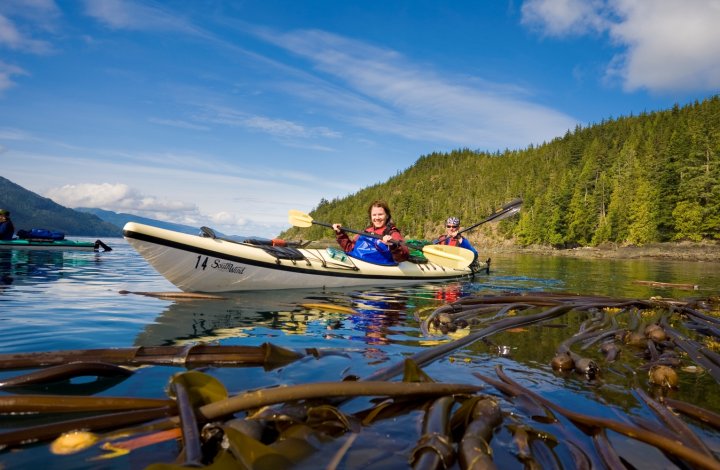 white sea kayak near bull kelp in British Columbia