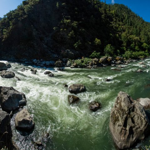 blossom bar rapid on the rogue river 
