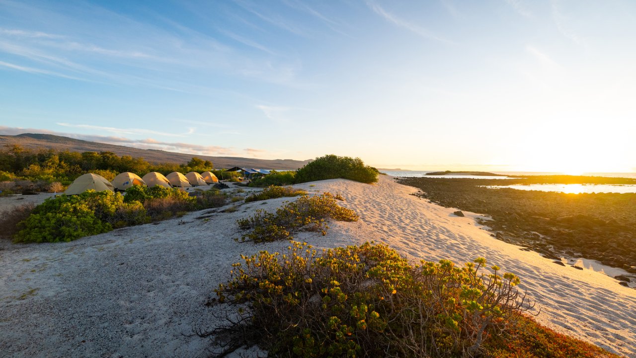 Panoramic view of an expansive beach on the Galapagos Islands with tents set up