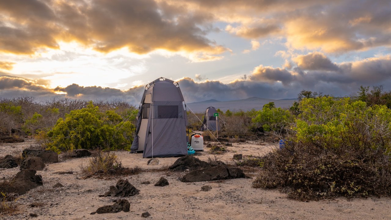 A bathroom tent set up in the middle of a secluded beach