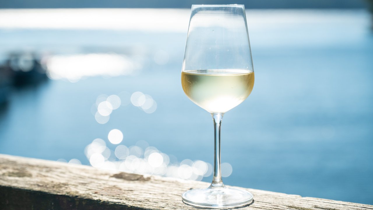 Glass of white wine overlooking the ocean off the coast of Vancouver Island