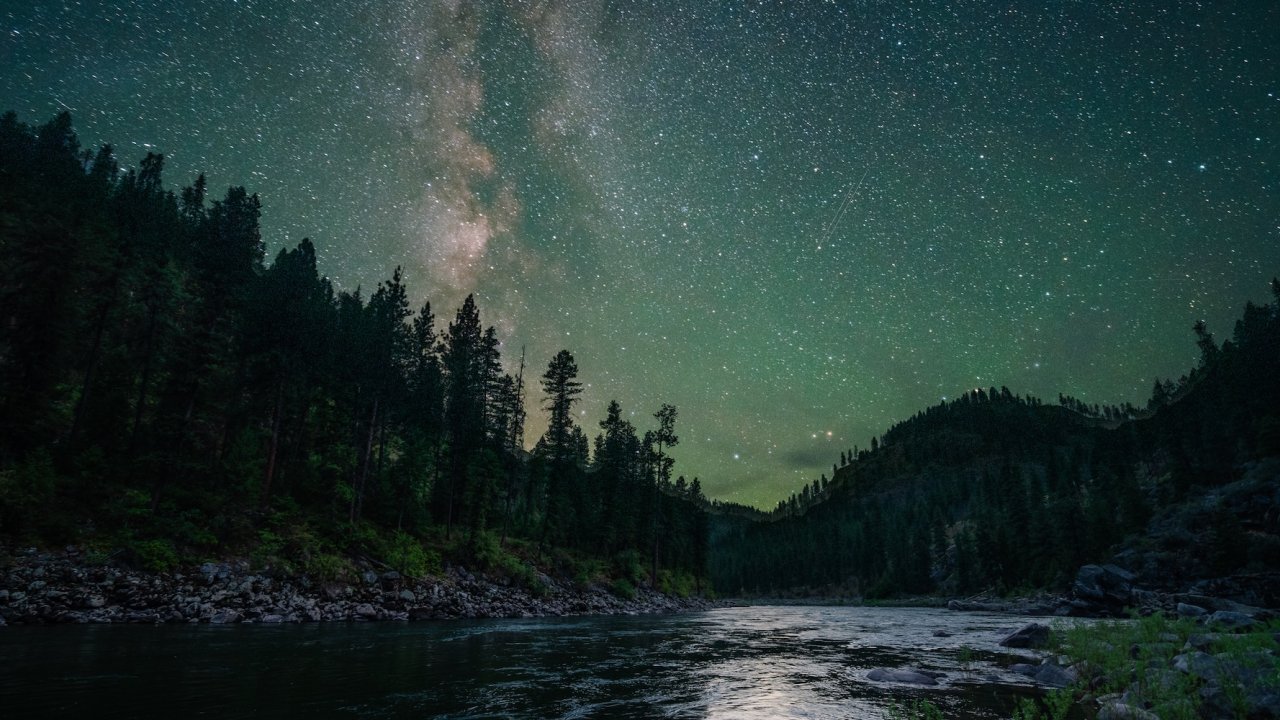 Milky Way stretching across a dark night sky above silhouetted trees and canyon walls on a wilderness rafting trip.