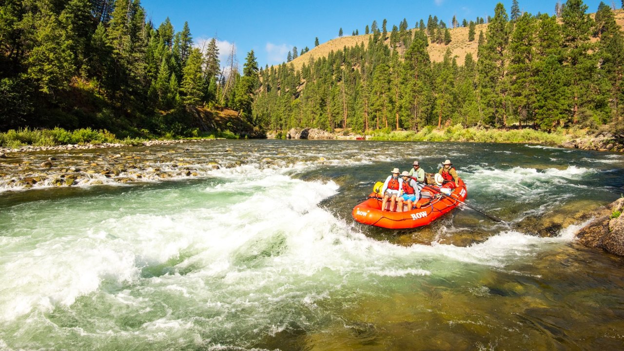 Group of rafters navigating a rapid on the Middle Fork of the Salmon River in Idaho, surrounded by pine forests and mountainous terrain under a clear blue sky.