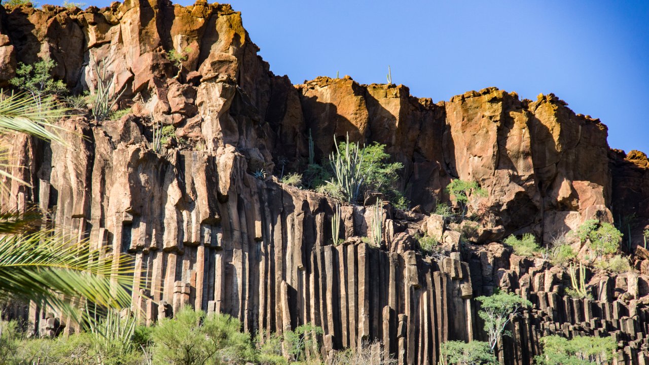 Basalt columns surrounded by desert greenery
