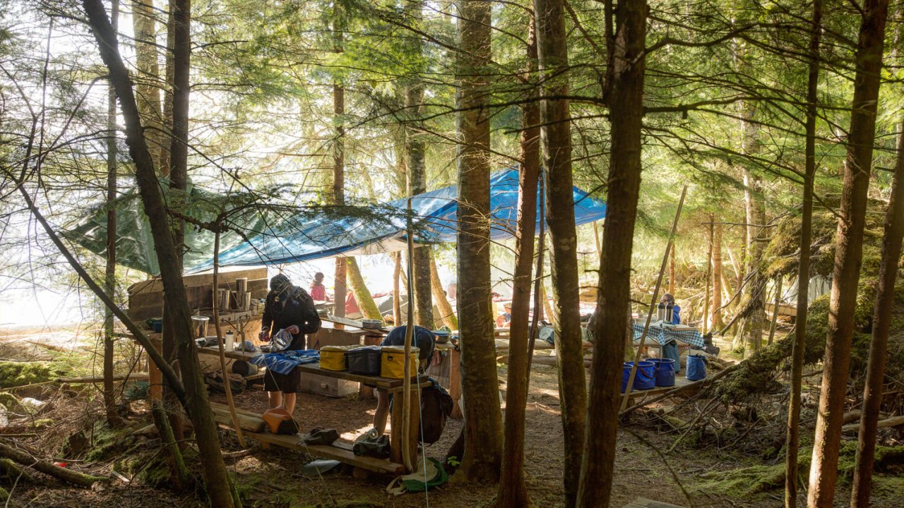 Camp kitchen set up in a forest in Vancouver Island, British Columbia