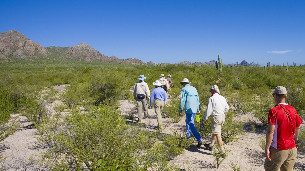 Group of tourists hiking through Carmen Isle