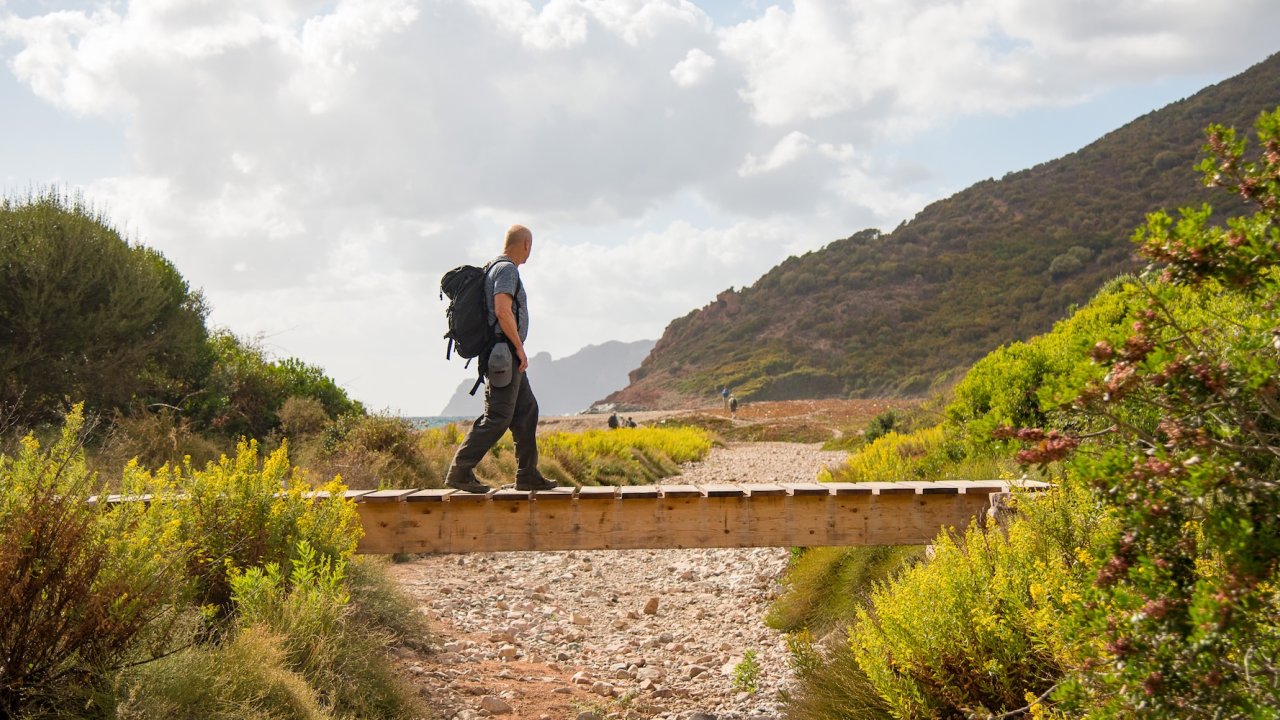 A person walking across a bridge in Corsica with greenery surrounding them.