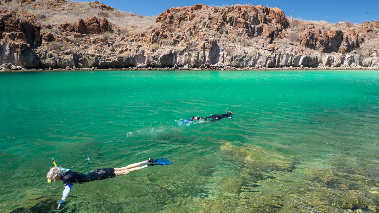 Two snorkelers searching for marine life in the Gulf of California