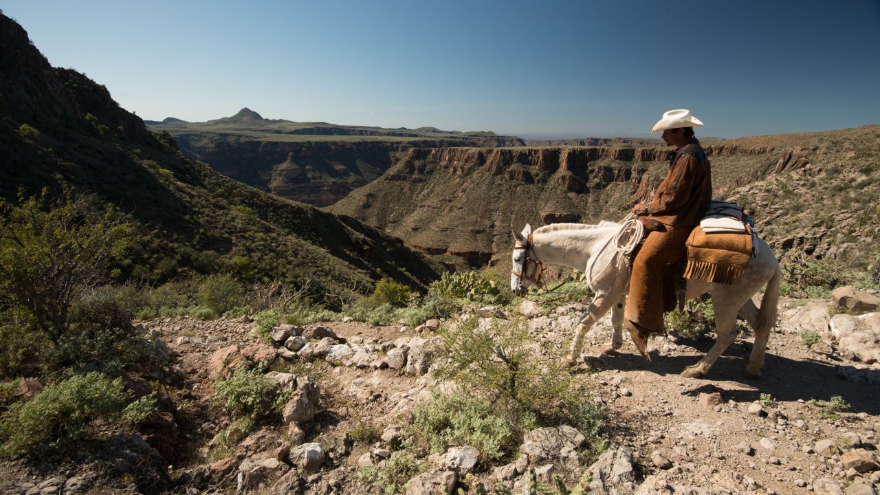 Horeseback rider with a white cowboy hat in the desert mountains of Baja, California