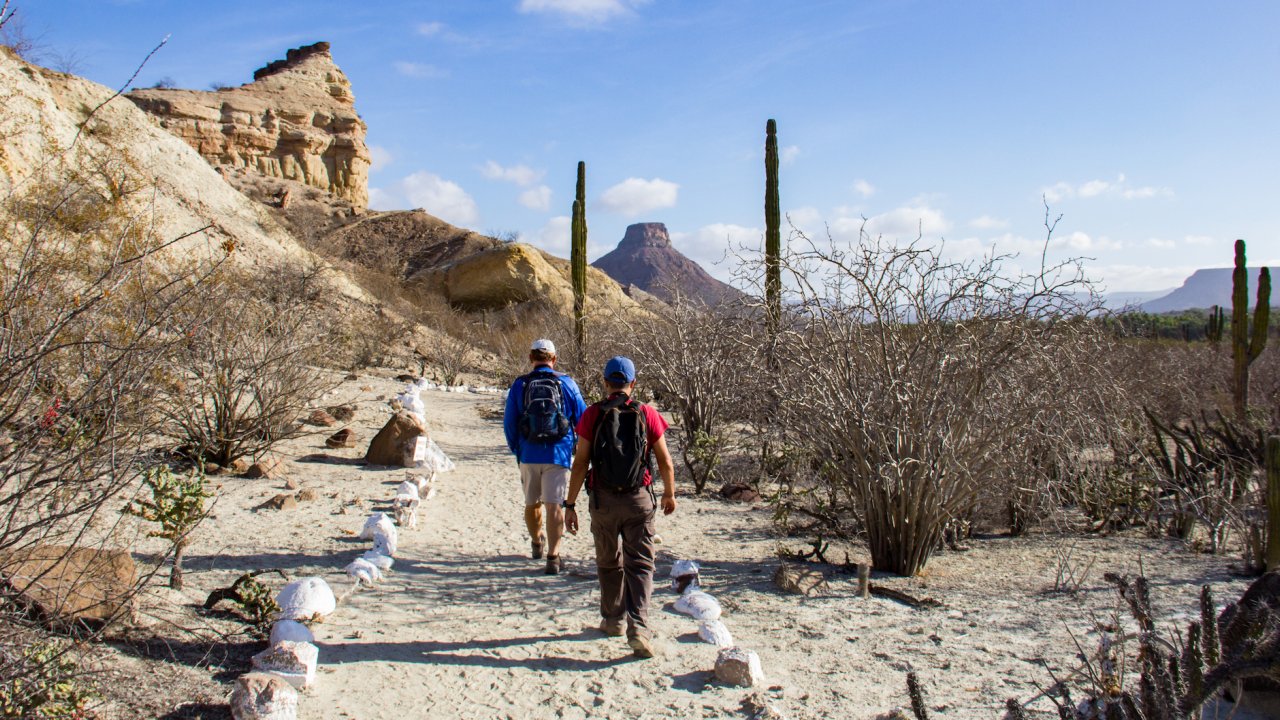 Two hikers on trail surrounded by rocks, cacti, and other desert greenery