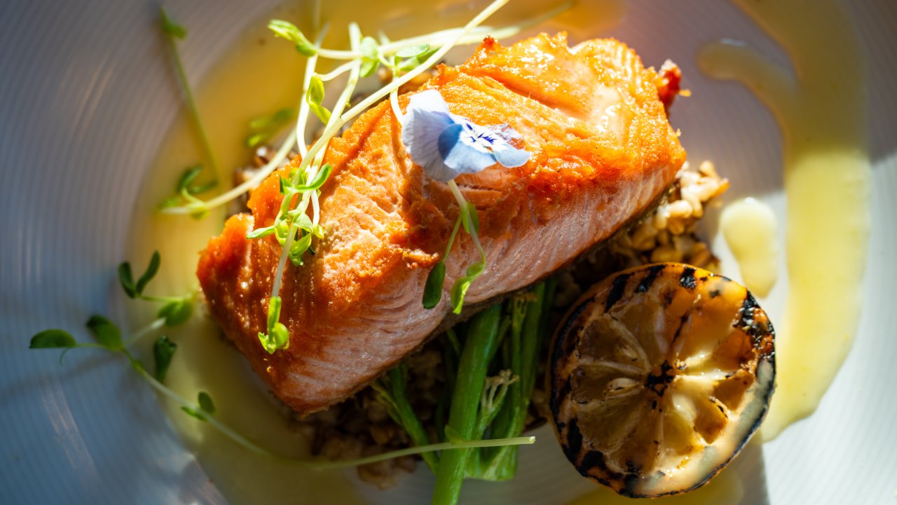 Roasted filet of salmon garnishes with sprouts on a white plate