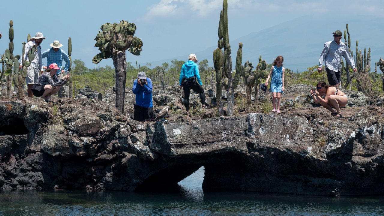 people standing on lava rock looking into water in the galapagos