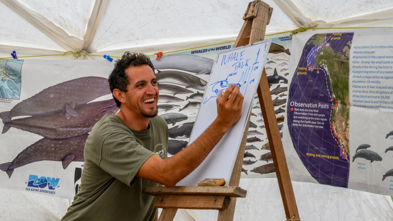Sea Kayak Adventures Guide, Diego, gives our "Whale Talk" at Magdalena Bay whale camp. man proving instruction on whales and marine life
