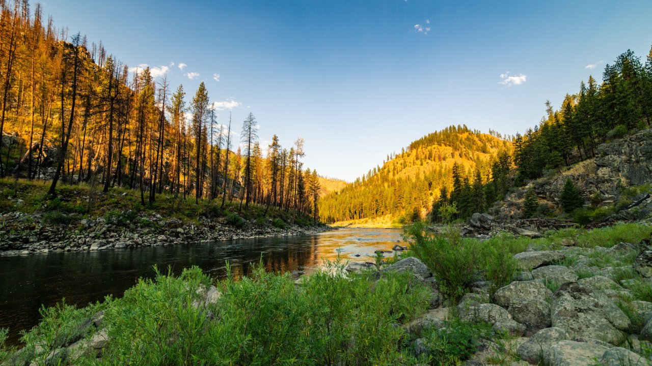 Calm river winding through pine-covered hills in warm evening light.