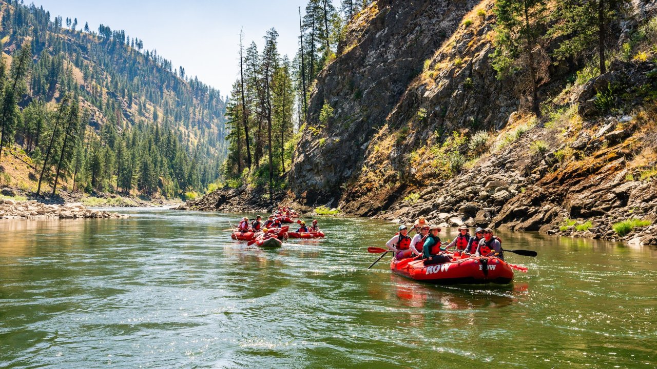ROW Adventures rafting trip on Idaho’s Main Salmon River, surrounded by forested canyons on a conservation-focused whitewater expedition.