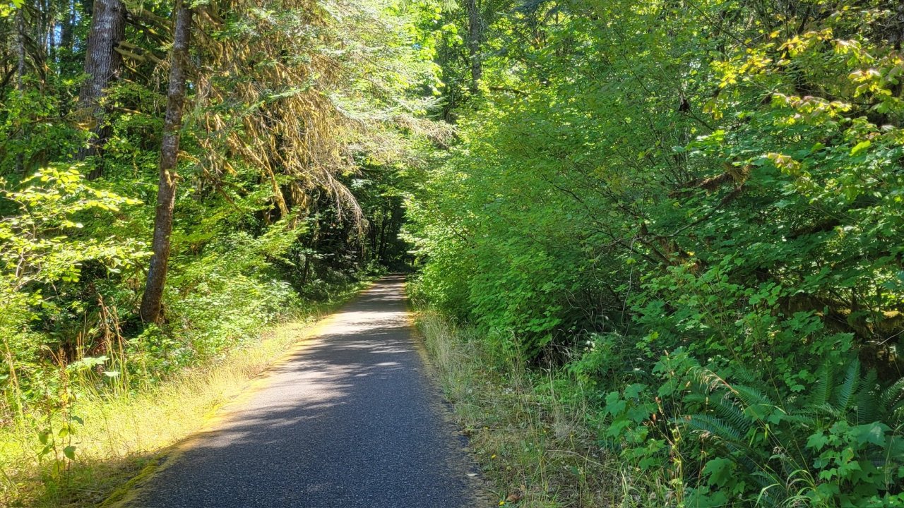 Paved biking trail winding through lush Pacific Northwest forest on an Oregon cycling tour.