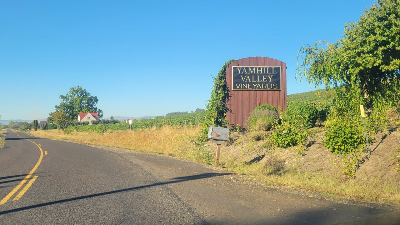 Country road passing Yamhill Valley Vineyards in Oregon, surrounded by rolling hills and vineyards.