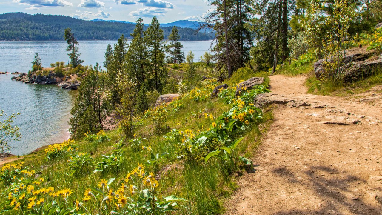 tubbs hill in coeur d'alene