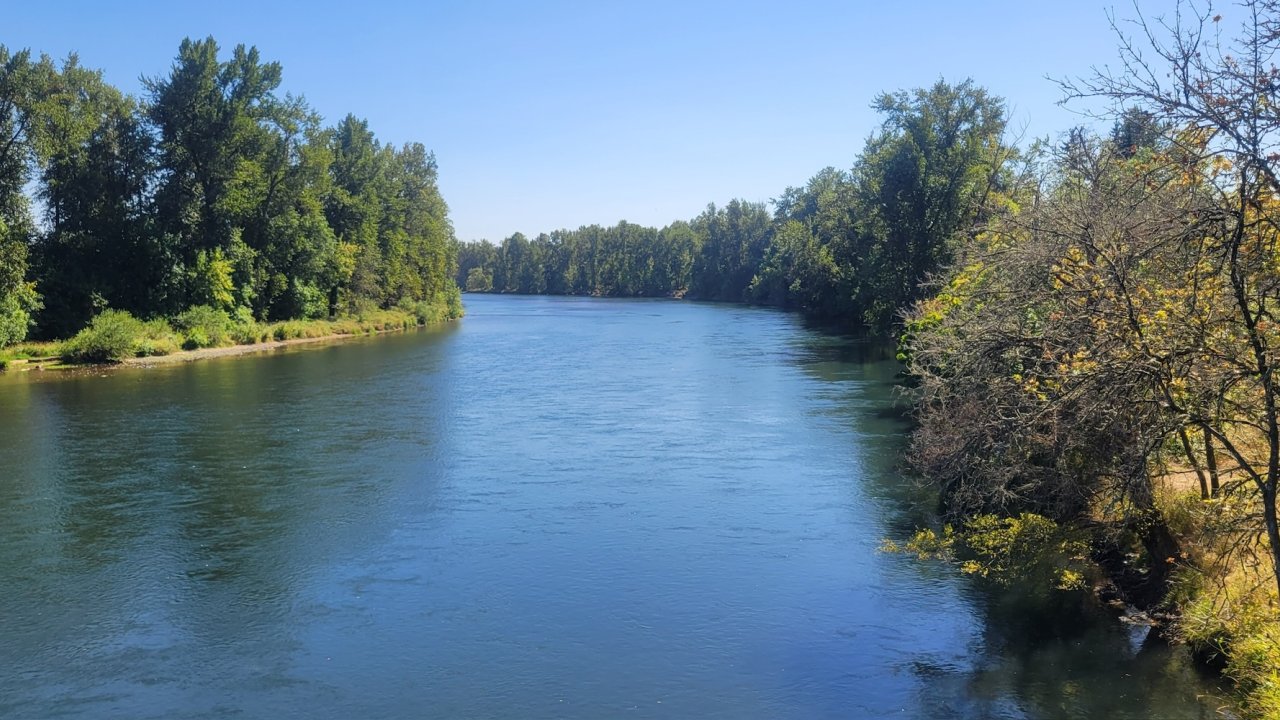 Scenic view of the Willamette River surrounded by trees along an Oregon cycling tour route