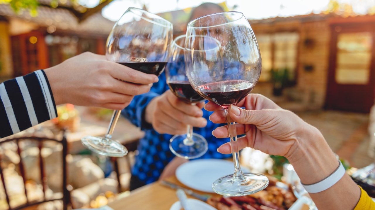 Group toasting with red wine during a winery stop on the Oregon e-bike tour through Willamette Valley wine country