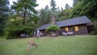 A deer and guests outside of Black Bar Lodge in Oregon