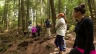 people hiking through a cedar forest