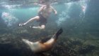 Snorkeling with sea lions in the Pacific Ocean