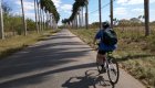 Person biking away form the camera on a road in Cuba