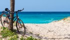 A bike leaning against a tree on a sandy beach with turquoise water behind it in Cuba