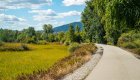 Wide open paved trail great for biking in Northern Idaho