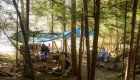 Camp kitchen set up in a forest in Vancouver Island, British Columbia