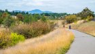 Bikers pedaling away from the camera on a trail in Northern Idaho