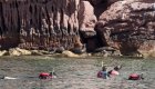 Guests snorkeling in the warm lagoons of Baja, California near desert hills