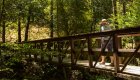 Someone hiking along a bridge trail through a dense green forest in Oregon