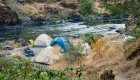 A cluster of tents set up on a beach surrounded by ponderosa pines along the Rogue River