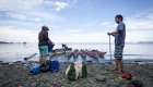 Sea kayaking gear laid out on the beach as guests gear up for a day of sea kayaking in British Columbia