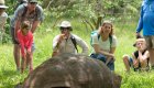 family viewing giant tortoise in the galapagos