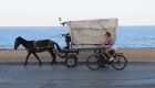 A woman biking next to a horse and carriage ride along the beach in Cuba 