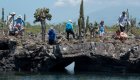 people standing on lava rock looking into water in the galapagos