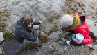 Guests searching for hermit crabs in the sand in the Johnstone Strait in British Columbia