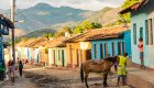 colorful houses along a cobblestone road with a horse in the middle in Cuba