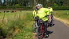 Cyclists paused along a paved rural trail beside a fenced pasture, with cows grazing and evergreen trees in the background.