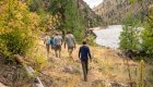 Guests hiking along a scenic trail beside Idaho’s Salmon River, walking through golden grass and pine trees in a rugged canyon landscape.